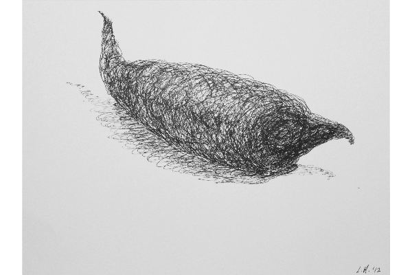 Drawn into Life VI, ink on Canson Bristol, 12x9 in.